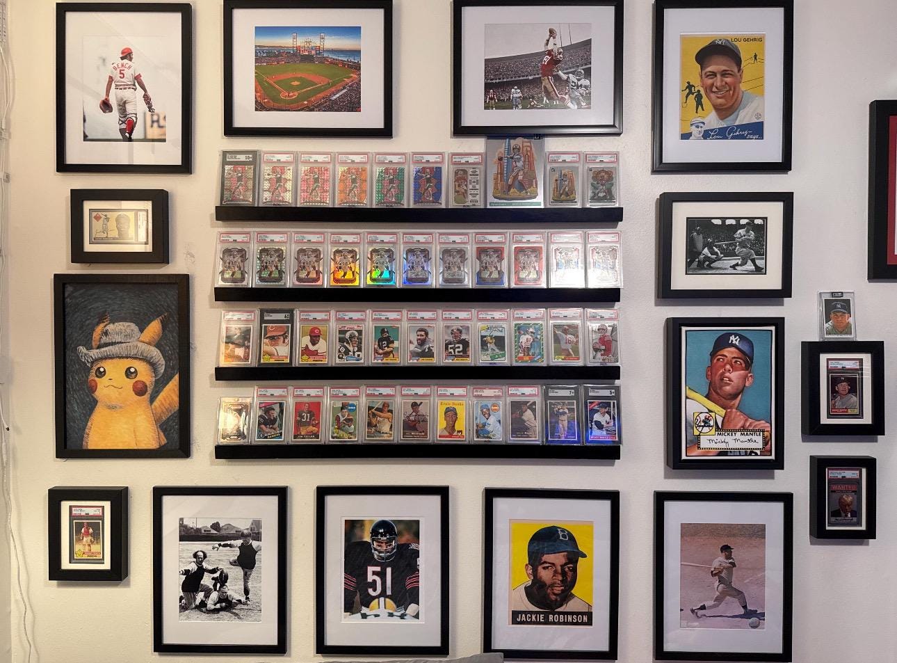 Sports and Trading Card Shelves
