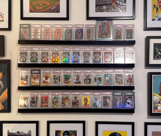 Sports and Trading Card Shelves